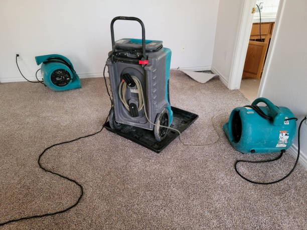 Best Mold removal after water damage  in Warr Acres, OK