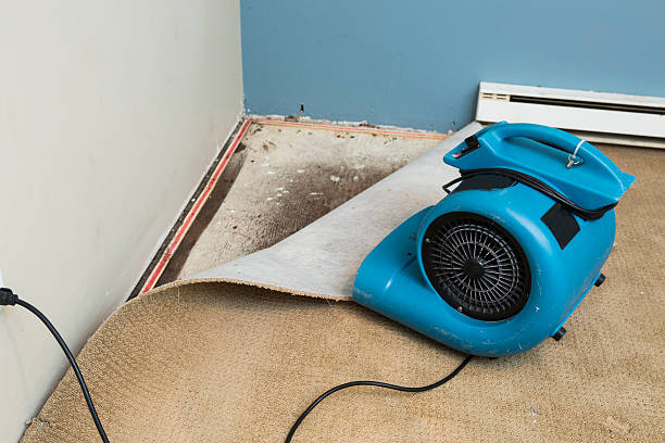 Water damage restoration experts in OK